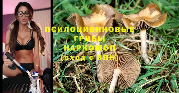 круглые Алзамай